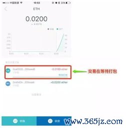 如何从官方渠道下载im钱包的最新版？_钱包app官网下载安装_钱包app官方下载